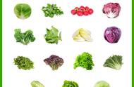 蔬菜沙拉一般有什么蔬菜（蔬菜沙拉里面都有哪些蔬菜）