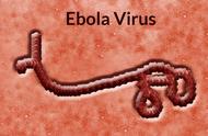 埃博拉病毒爆发是哪一年（埃博拉病毒最开始是怎么出现的）