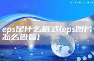 eps图片什么软件能打开（eps图片用wps打开）