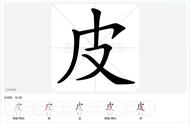 皮在田字格的正确笔顺（皮字的笔顺田字格正确写法）