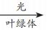 反射弧的5个重要环节依次是（反射弧的五个环节是什么）