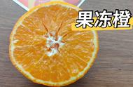 小孩吃果冻橙的营养价值（果冻橙一岁幼儿吃好吗）