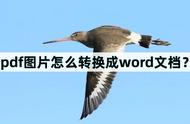 pdf图片文件怎么转换成word文档（怎么把pdf图片转换为word电子版）