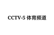 怎样网上看cctv5（用互联网怎么看cctv5）