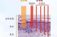 防晒衣几乎是透明的能不能防晒（防晒衣怎么做到防晒又透气）