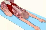 拉伸背部的肌肉常用动作有哪些（背部拉伸主要有哪些肌肉）