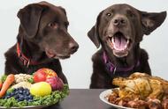 狗狗最怕的七种食物（狗最怕的5种食物）