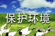 垃圾分类四年级400字优秀作文（垃圾分类作文500字到1500字三年级）