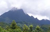 五指山热带雨林游玩攻略（五指山热带雨林游玩攻略路线）