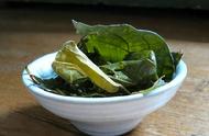海南特产的茶叶是什么茶（海南最好的茶叶是哪种）