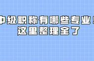 中级职称专业一览表（中级职称退休金新政策）