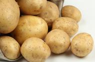 土豆种植技术与管理技术（土豆的种植技术及管理）