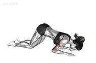 女性肱三头肌训练计划动作（女人练习肱三头肌的器械使用方法）