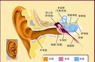 一只耳朵听不见对平衡感有影响吗（一只耳朵听不见一只耳朵正常）