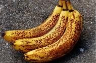 烂香蕉能直接当肥料吗