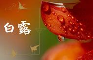 白露最适合吃什么糕点（白露吃什么美食）