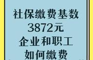 公司给员工交社保的比例是多少（3000元工资社保大概交多少）