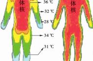 体温平衡调节的方式（体温调节的三种方式）