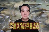 一亩鱼塘可以放十条黑鱼吗（鱼塘放黑鱼的最佳时间）