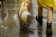 下雨天走了怎么防止鞋湿（下雨天怎样避免鞋子前面容易湿）