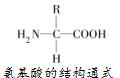 人体中氨基酸种类21种（人体20种氨基酸分类口诀）