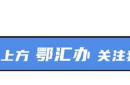 湖北健康码包含什么信息（最新湖北健康码有重大变化）