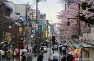 奈良是日本的一个城市吗（奈良是不是日本的首都）