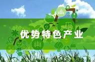 农业优势产业研究（甘肃省农业优势产业主要集中在什么上）