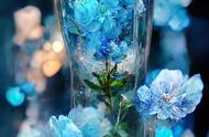 蓝玫瑰花图片（碎冰蓝玫瑰花是染色的吗）