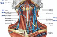 颈部肿物三大类型（颈部肿物一般做什么检查）