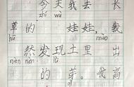 观察种子生长过程100字（观察种子发芽的过程的观察日记）