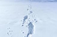 梦见冰天雪地天寒地冻（梦见冰天雪地走夜路）