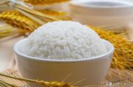 蒸米饭4勺米放多少水（蒸米饭一斤米用多少水）