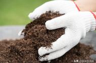 土壤板结用什么方法好改良（土壤板结与改良方法）