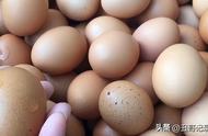 腌鸡蛋正宗腌法1斤鸡蛋用多少盐（怎样腌鸡蛋一斤鸡蛋多少盐）