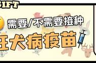 不打血清打狂犬疫苗可不可以（打了血清狂犬疫苗有什么影响）