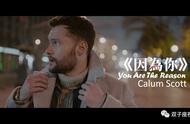 youarethereason是什么意思（you are the reason表达什么意思）