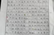 我和卖火柴的小女孩过一天400字（假如我遇到卖火柴的小女孩400字）