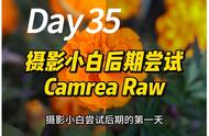 raw格式如何后期处理（raw格式怎么后期处理）