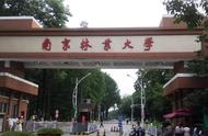 南京林业大学是什么档次（南京林业大学真实评价）