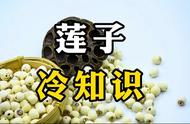 莲子泡水喝还是煮着吃好（莲子怎么泡水喝才是正确）