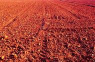 北方地下红土是什么土质（黄土红土哪个最肥沃）