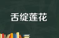 带莲字的成语（莲有关的成语大全）