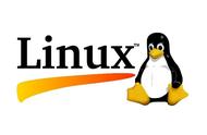 linux怎么查看所有端口占用（linux查询端口占用）