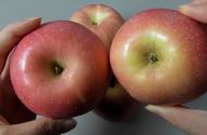 晚上吃苹果有害处吗（晚上只吃苹果一个月能瘦几斤）