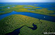 世界上最大沼泽在哪个洲（世界上最大的沼泽是哪一个）