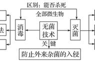 生物选修一腐乳制作的习题（高中生物腐乳的制作练习题）