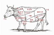 潮汕牛肉部位图片大全图解（潮汕牛肉26个分解图）