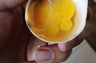水洗过的鸡蛋能放几天（孵化的鸡蛋脏了能水洗吗）