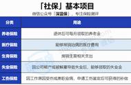 社保和养老保险个人怎么交（社保和养老保险个人怎么交划算）